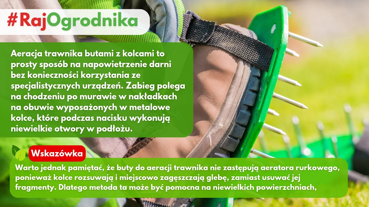 Aeracja trawnika przed zimą jak wykonać blog sklep rajogrodnika